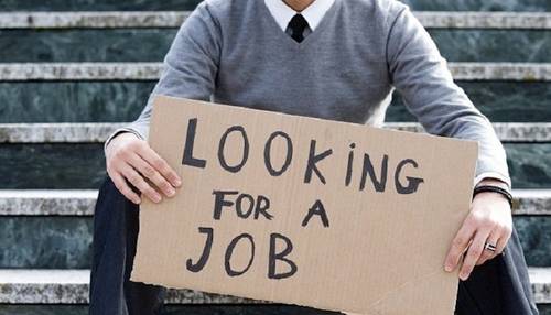 ищу работу
