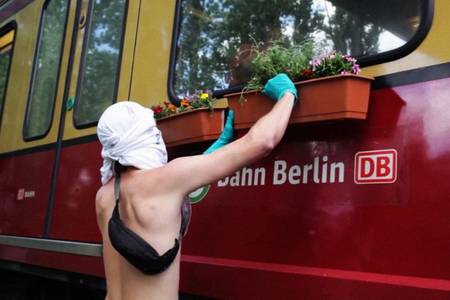 украшение Берлина цветами
