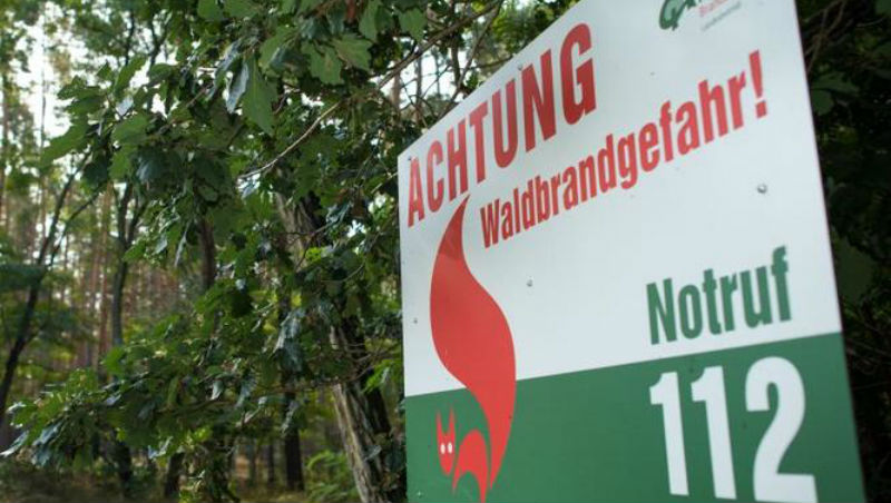 Новости: В Бранденбурге сгорело более 20 га леса
