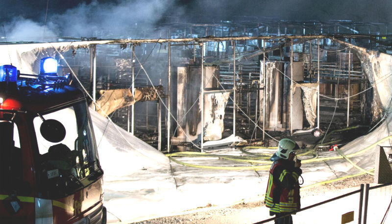 Новости: Палаточный городок мигрантов сгорел дотла