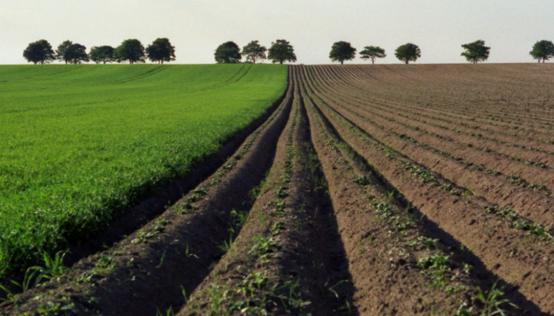 Новости: Сельское хозяйство тащит Германию на дно