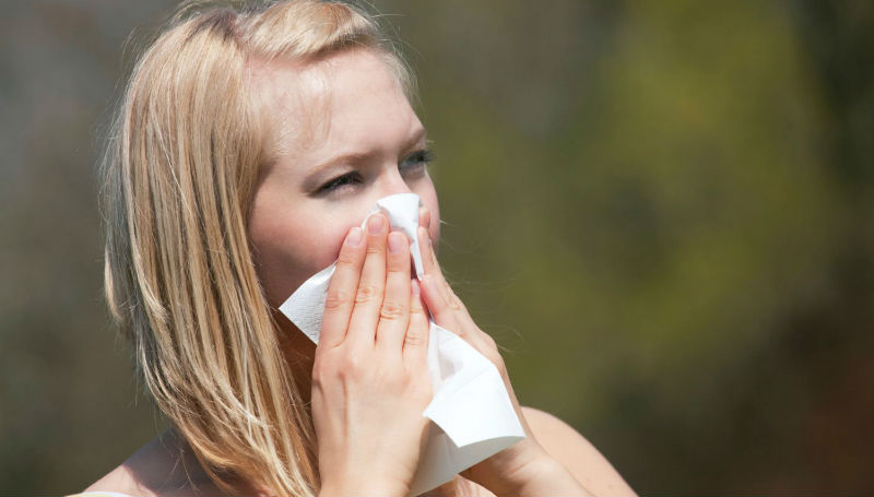 Здоровье: Пыльца уже не так опасна для аллергиков