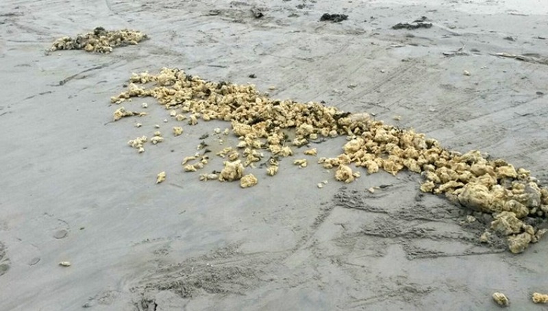 Новости: 15 километров пляжа загрязнено парафином