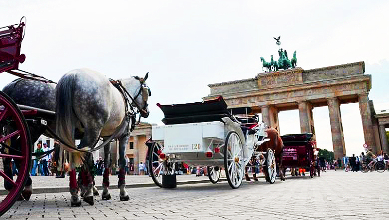 Новости: В Берлине хотят запретить лошадей
