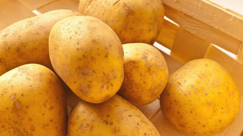 Новости: Бундестаг просят поменять названия сортов картофеля