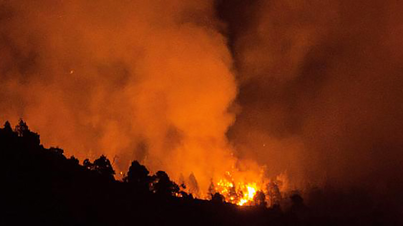 Новости: Немецкий отшельник поджег лес на Канарах