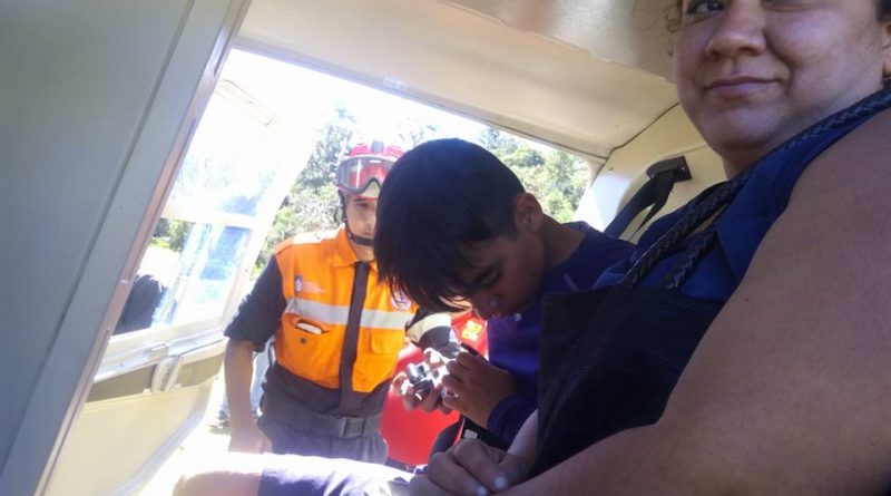 Новости: Лабрадор спас жизнь 14-летнему мальчику