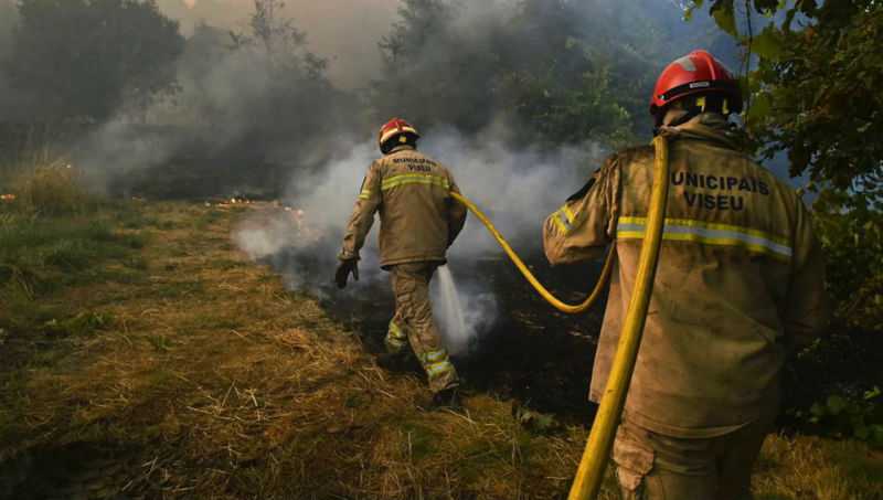 Новости: Тысячи пожарных пытаются обуздать огонь в Португалии