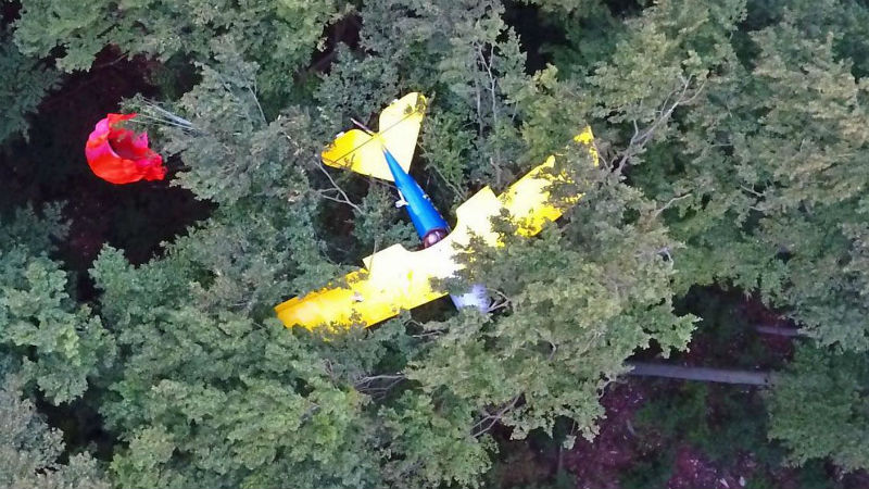 Новости: Пилот целую ночь провисел на дереве