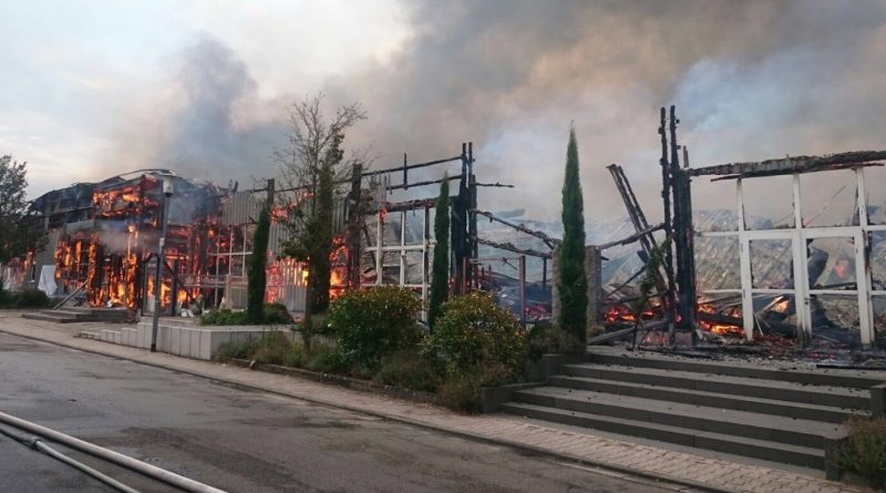Новости: Пожарные два дня не могли погасить огонь в Ландау (фото, видео)