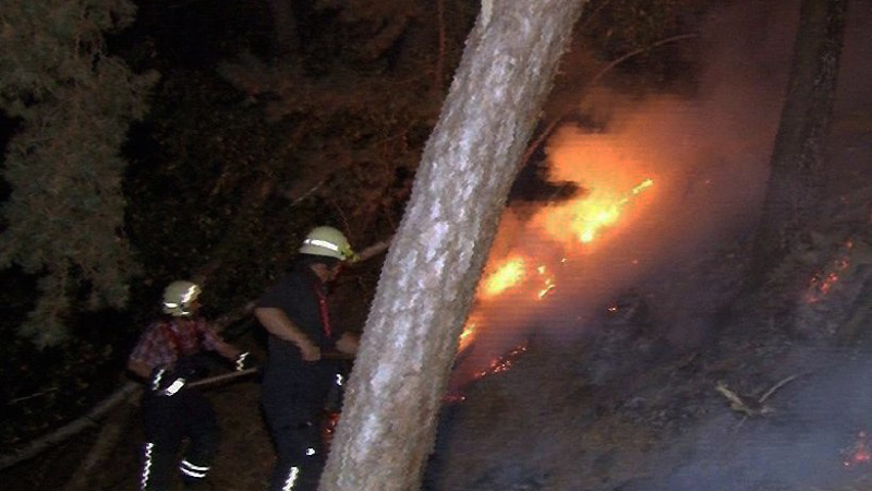 Новости: В Гарце выгорел лес на огромной площади