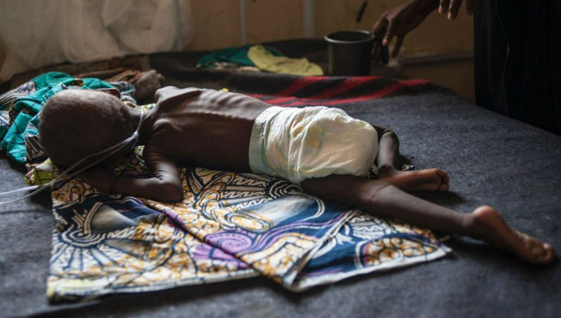 Новости: На северо-востоке Нигерии разразился голод (видео)