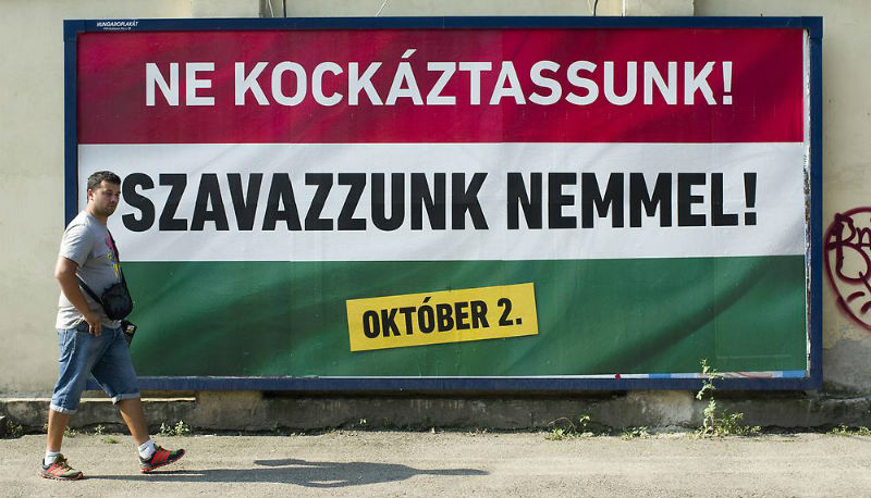 Новости: Правозащитники обвиняют Венгрию в издевательствах над беженцами