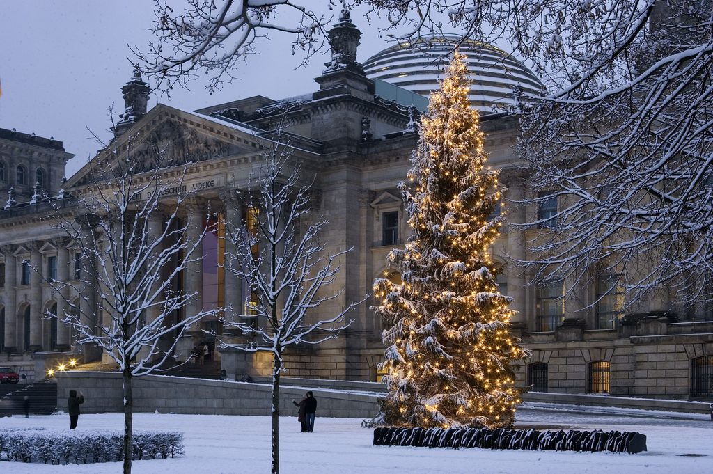 Досуг: В Берлине установят рождественскую елку из Рейнланд-Пфальца