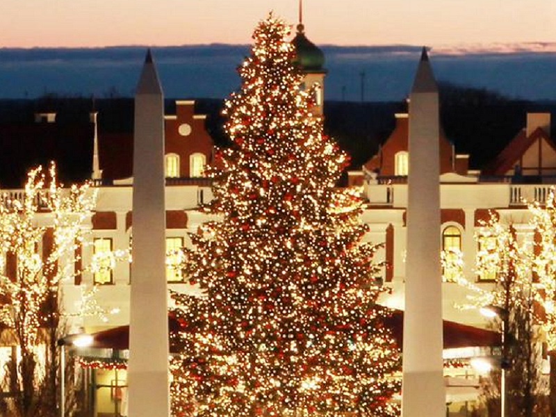 Досуг: В Гамбурге уже установили главную рождественскую елку