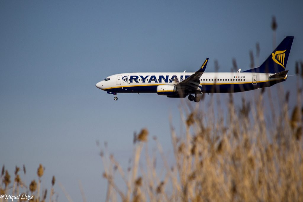 Деньги: Ценовая война между Lufthansa и Ryanair