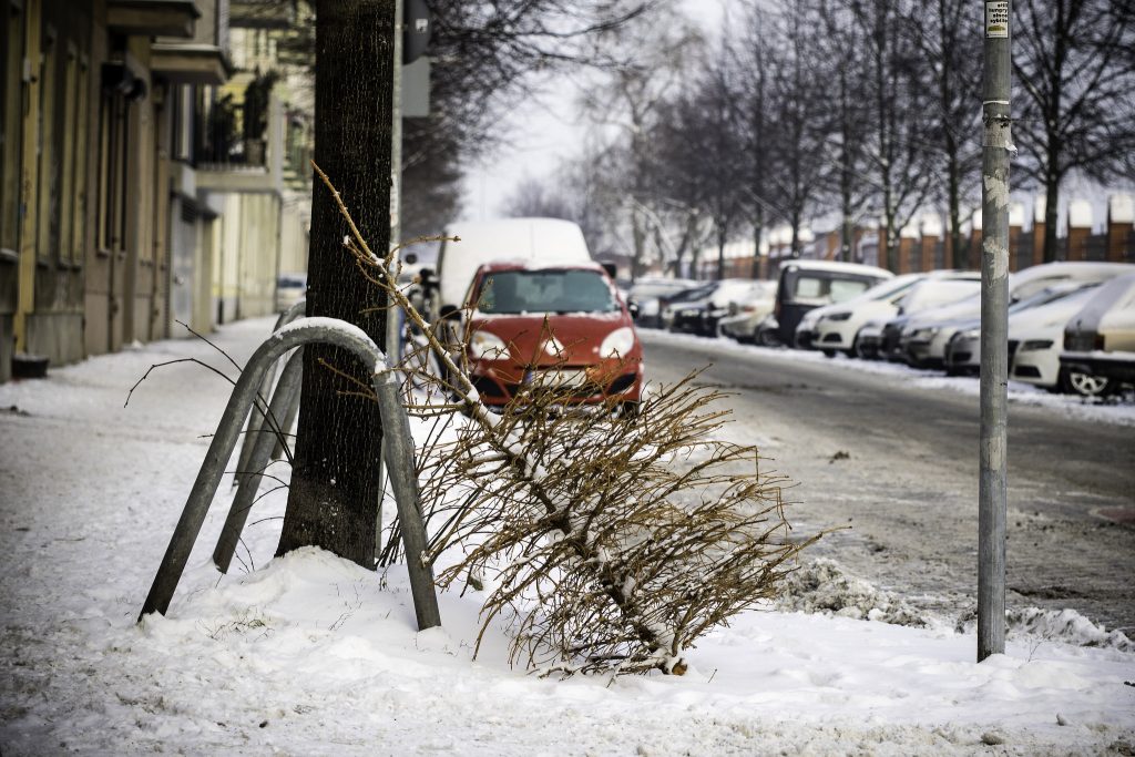 Погода: Погода в Германии: выпадет ли снег на Рождество?