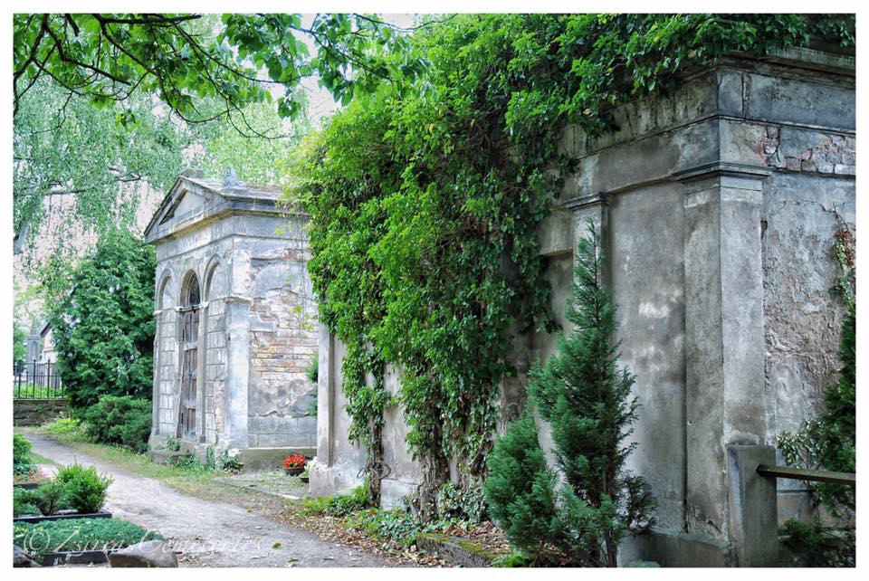 Происшествия: На кладбище в Саксонии-Анхальт обнаружены незахороненные урны с прахом