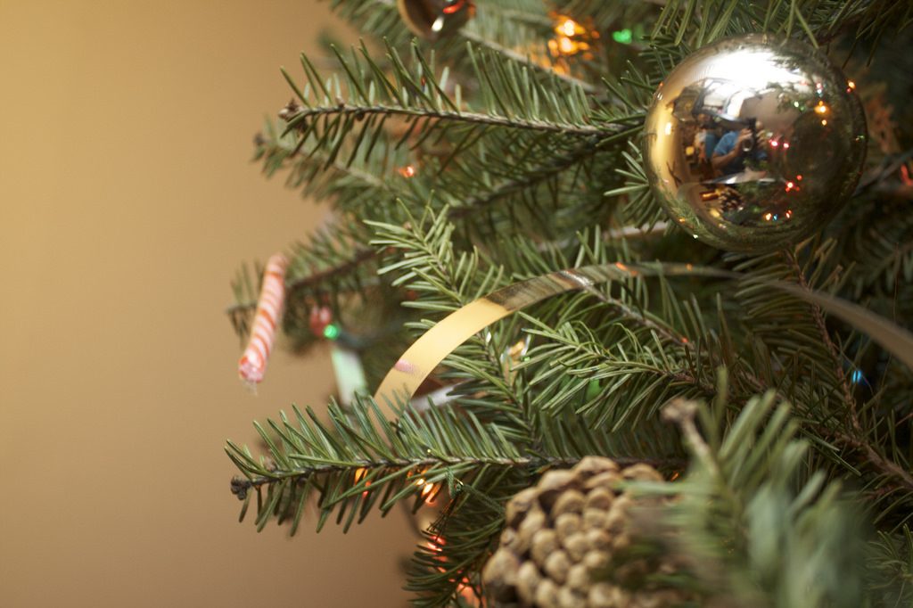 Деньги: Сколько стоят рождественские елки в Европе?