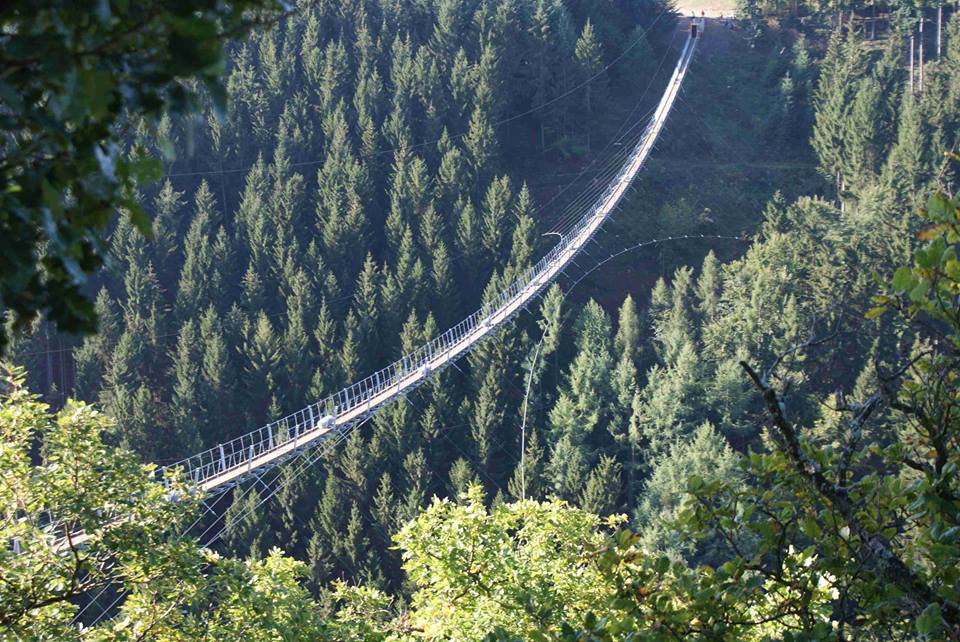 Досуг: В Гессене построят самый длинный в Германии подвесной мост