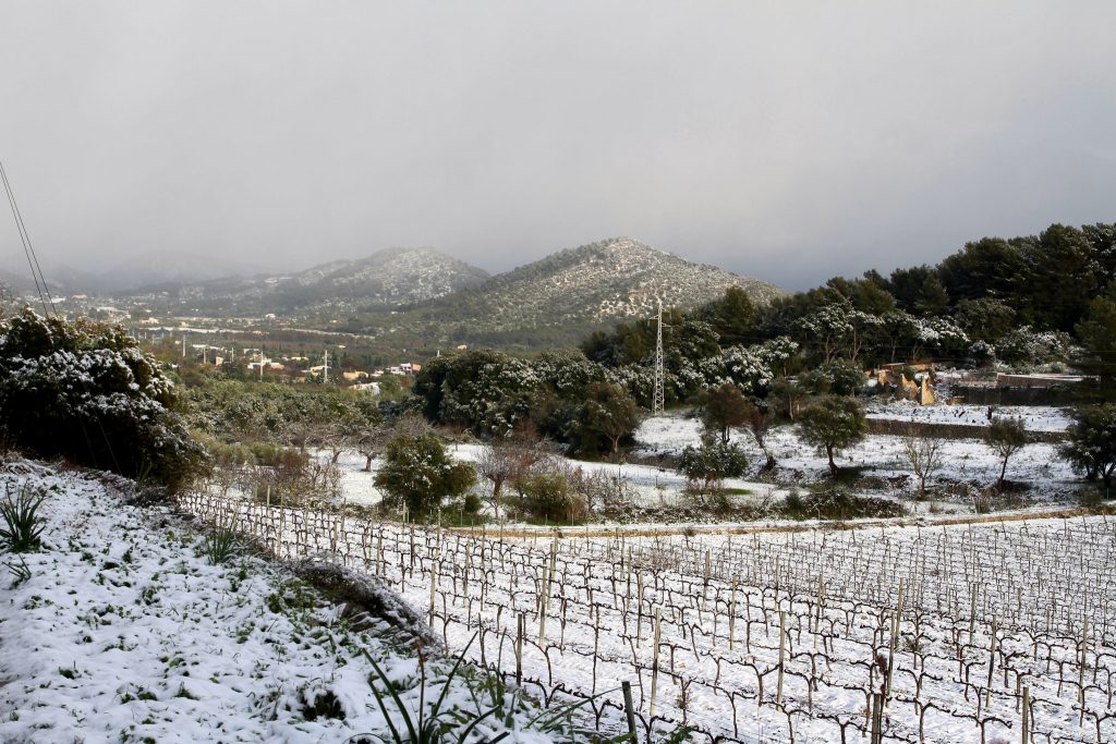 Отовсюду обо всем: Холодная волна на Средиземном море: Мальорку засыпает снегом
