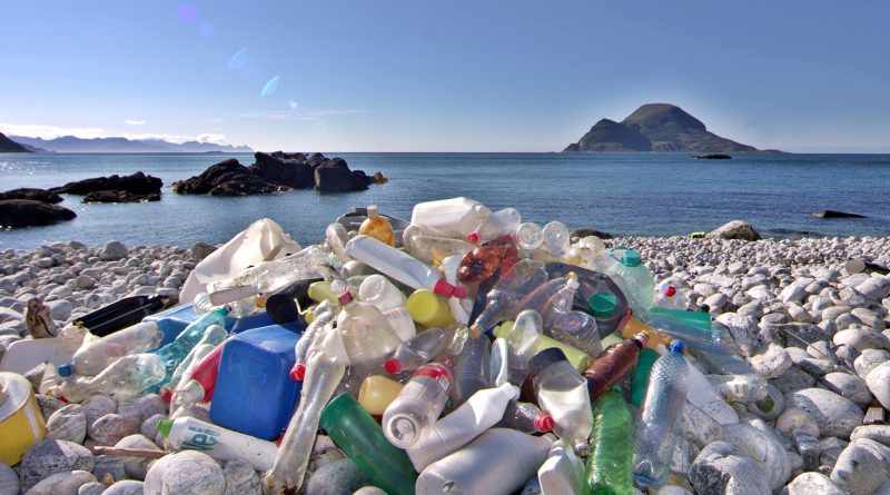 Новости: Исследование: в 2050 в океанах будет больше пластиковых отходов, чем рыбы
