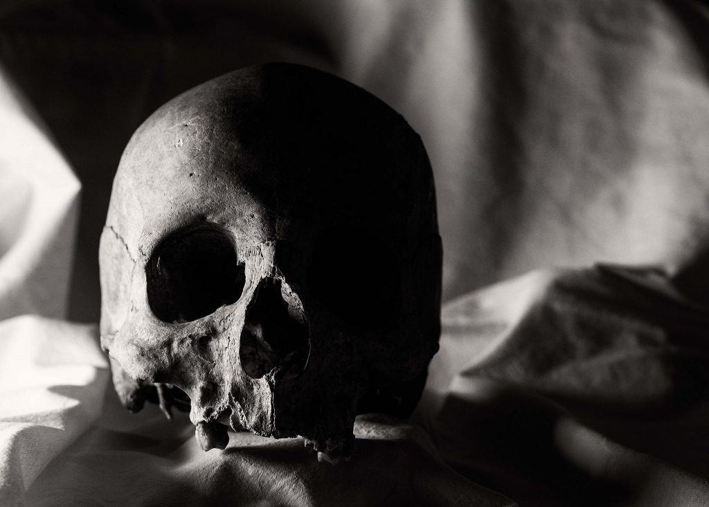 Происшествия: В городском лесу Ганновера найден человеческий череп