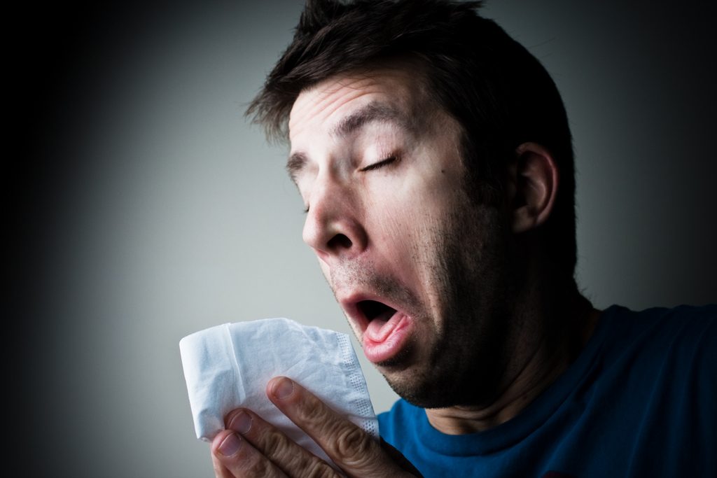 Здоровье: Жители Берлина страдают из-за небывало высокой концентрации пыльцы в воздухе