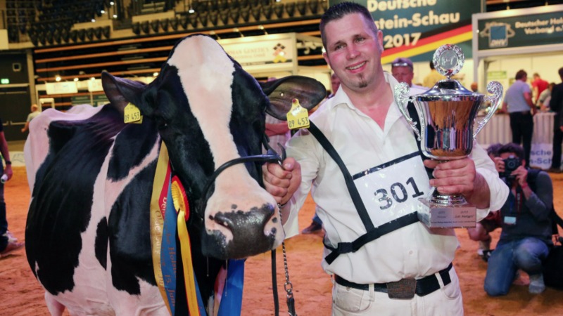 Досуг: Леди Гага – самая красивая корова Германии