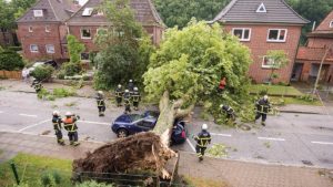 Происшествия: Последствия торнадо в Германии