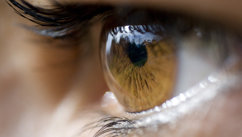 Здоровье: Из глаза женщины извлекли 27 контактных линз