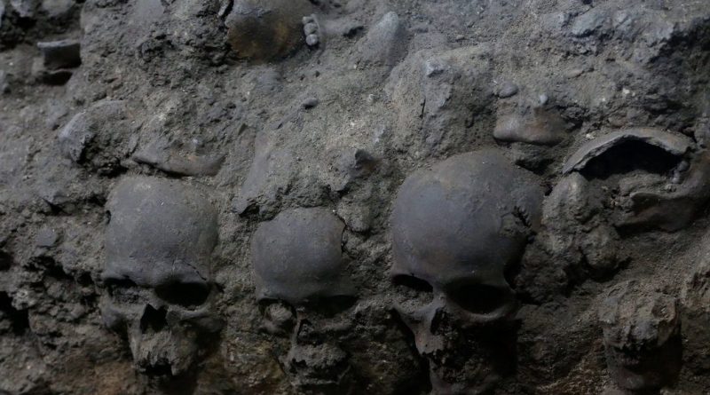 Отовсюду обо всем: В Мехико раскопали ацтекскую башню из черепов