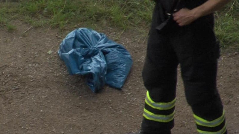 Происшествия: В Гамбурге на берегу реки найдены части человеческого тела