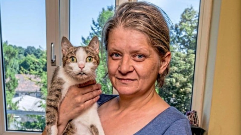 Общество: Хозяйка отдала последние сбережения на лечение кошки
