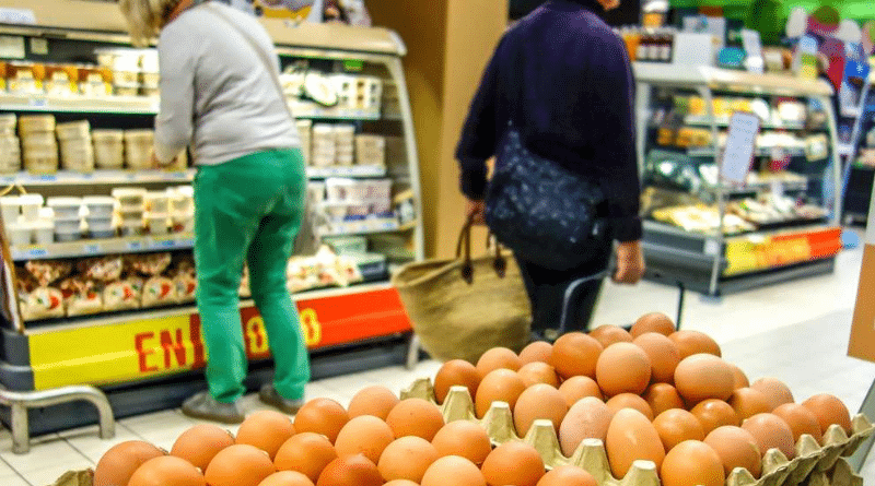 Общество: Стали ли немцы есть меньше яиц после скандала с фипронилом?