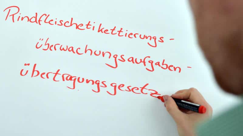 Общество: Самые длинные слова в немецком языке