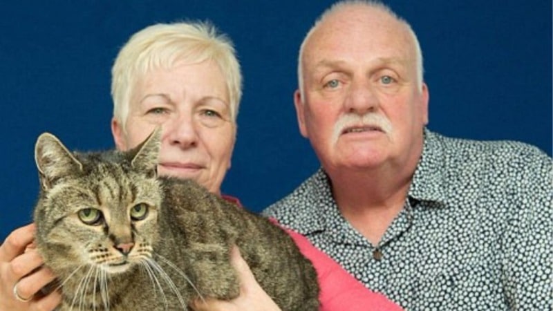 Общество: Умер самый старый кот в мире