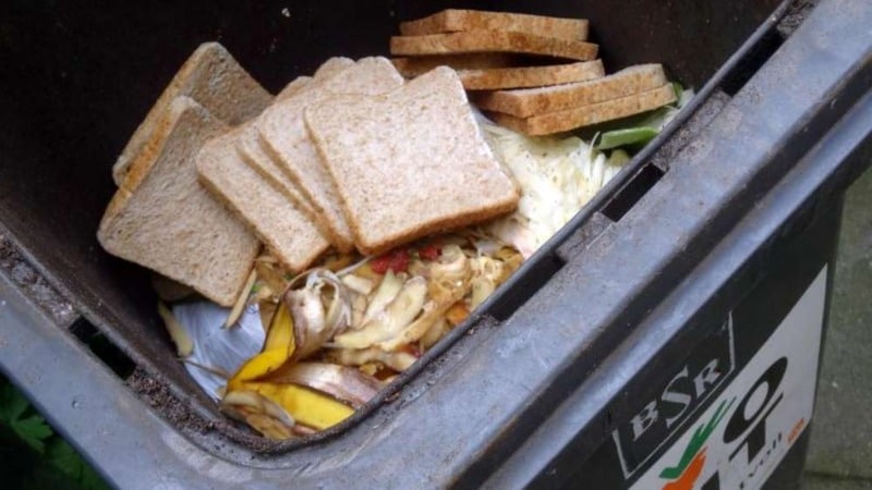 Полезные советы: Что можно выбрасывать в мусорный контейнер для органических отходов?