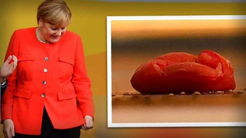 Политика: Ангелу Меркель забросали помидорами