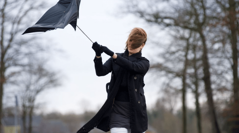 Погода: В Германию идут первые осенние бури: ожидаются дожди и шквалы