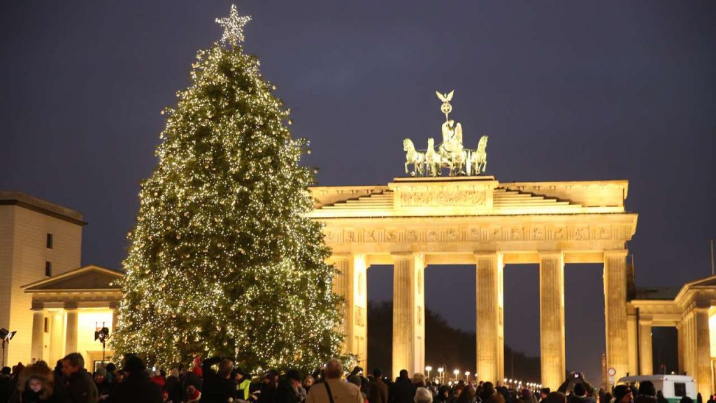 Новости: В Берлине установили главную рождественскую ель