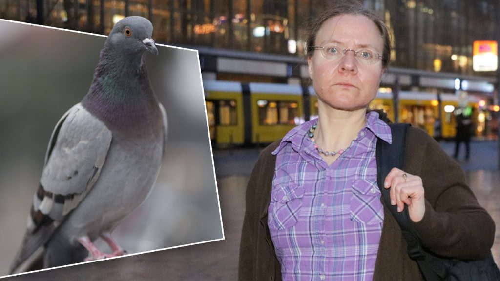 Общество: Жительницу Берлина оштрафовали за кормление голубей