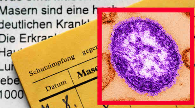 Общество: Виновны противники прививок или государство? В Германии все чаще болеют корью 