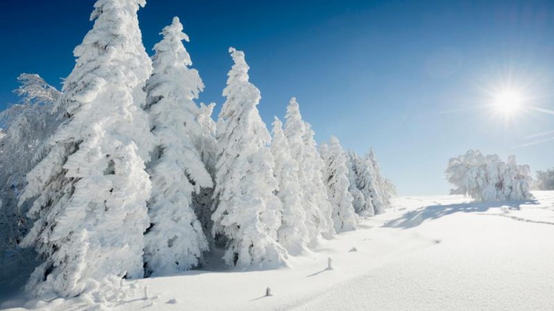 Погода: В Германию возвращается зима: в четверг ожидаются сильные снегопады