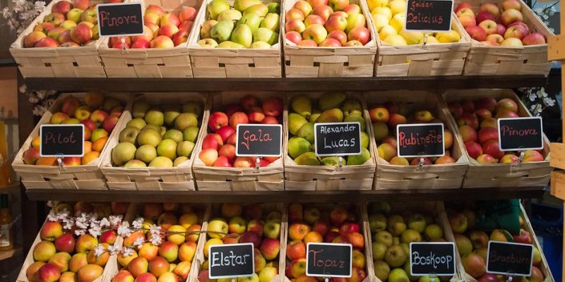 Отовсюду обо всем: Любимый фрукт немцев: какие сорта яблок полезнее?