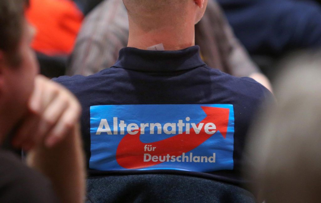 Политика: Интересные факты об «Альтернативе для Германии»