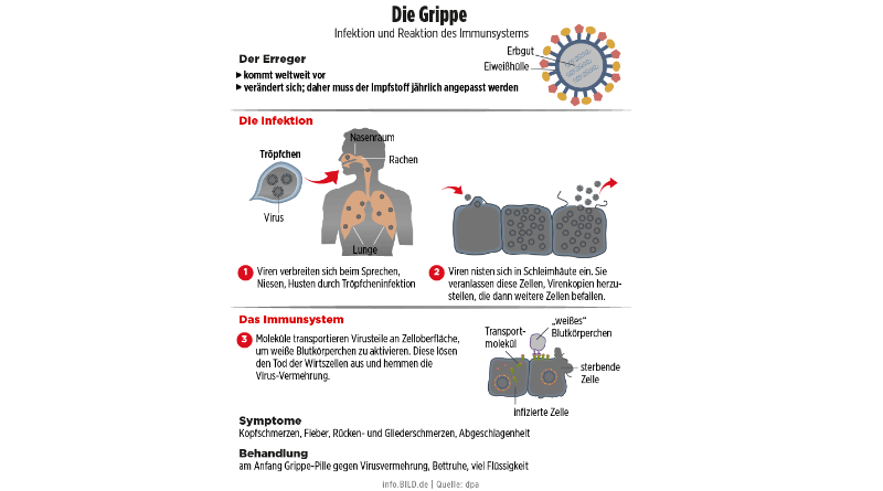 Общество: Эпидемия гриппа 2018: в Германии погибло 136 человек