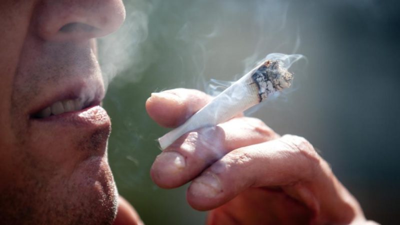 Общество: В Германии выступают за полную легализацию марихуаны