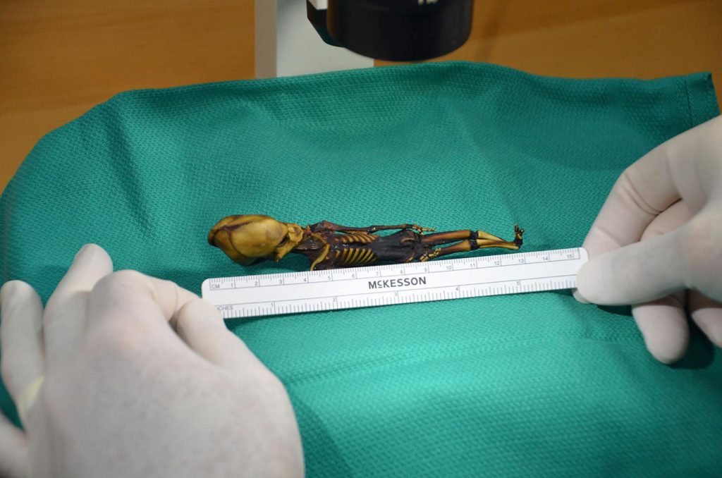 Досуг: Разгадана тайна карликовой мумии инопланетянина
