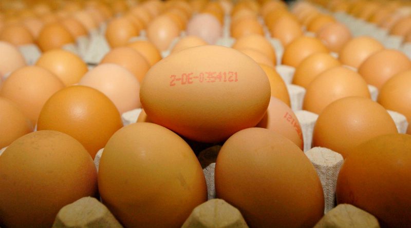 Домашние хитрости: Какие яйца лучше покупать на Пасху?